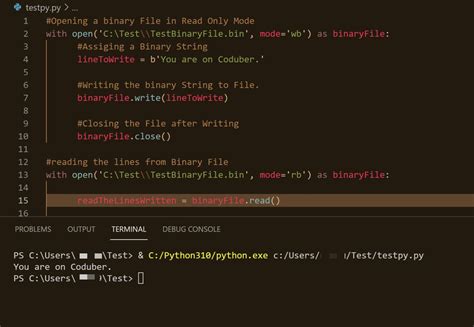Python Guide: Reading Binary Files in 10 Steps
